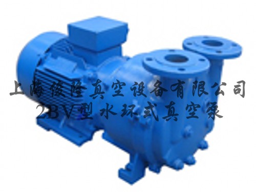 2BV系列水环式真空泵