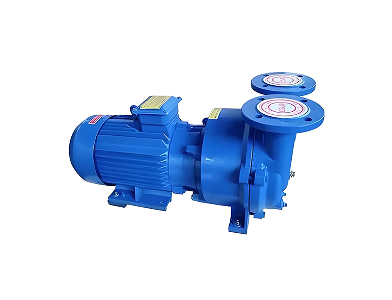 2BV系列水环式真空泵